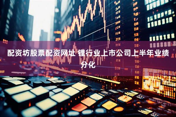 配资坊股票配资网址 锂行业上市公司上半年业绩分化