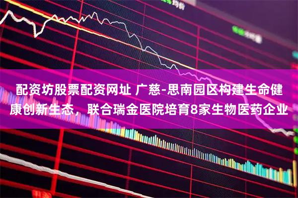配资坊股票配资网址 广慈-思南园区构建生命健康创新生态，联合瑞金医院培育8家生物医药企业