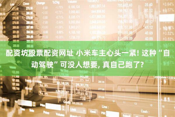 配资坊股票配资网址 小米车主心头一紧! 这种“自动驾驶”可没人想要, 真自己跑了?